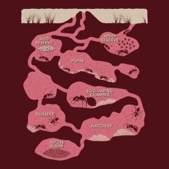 Stretch Garments Ant Colony Unisex Adults T-shirt [FINAL SALE]