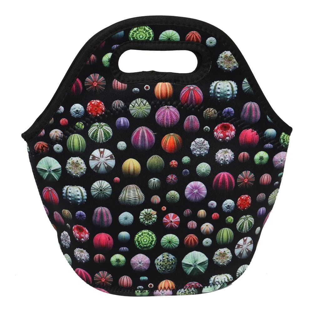 Svaha Apparel Shop By Interest Marine Biologist's Dream Gift Box 3 Svaha Apparel Shop By Interest Marine Biologist's Dream Gift Box