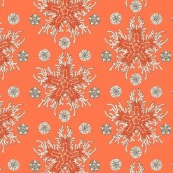 Brothers Knit Garments Haeckel’s Asteridea Katherine Dress [FINAL SALE] Adults