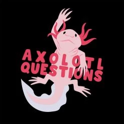 Svaha Apparel Axolotl Questions Custom Kids Hoodie T-Shirts & Hoodies