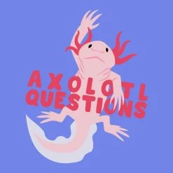 Svaha Apparel Axolotl Questions Custom Kids T-Shirt T-Shirts & Hoodies