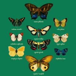 Svaha Apparel Butterflies And Moths Custom Kids T-Shirt T-Shirts & Hoodies