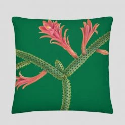 Svaha Apparel Cactus Plants Cushion Covers Set Accessories 12 Svaha Apparel Cactus Plants Cushion Covers Set Accessories