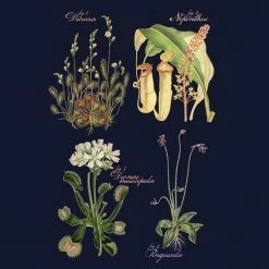 Svaha Apparel Carnivorous Plants Custom Relaxed T-Shirt T-Shirts