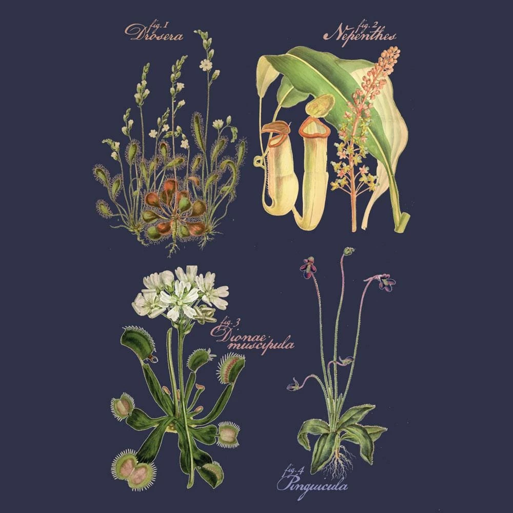 Svaha Apparel Carnivorous Plants Custom Unisex T-Shirt 2 Svaha Apparel Carnivorous Plants Custom Unisex T-Shirt