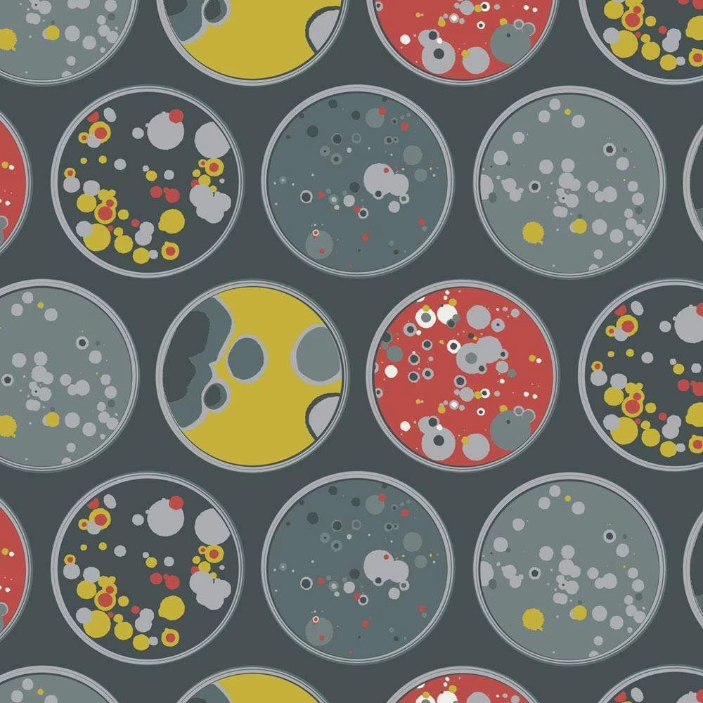 Brothers Knit Garments Cultured Katherine Dress 4 Brothers Knit Garments Cultured Katherine Dress