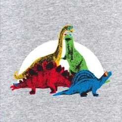 Stretch Garments Dinocool Raglan Top [FINAL SALE] Adults