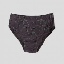 Stretch Garments Dinosaur Fossils Kids Underwear [FINAL SALE]
