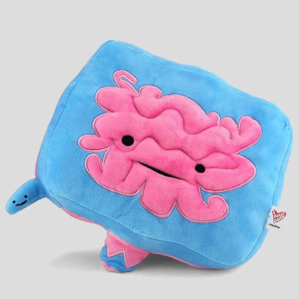 Disburst/I Heart Guts Plush Organs 6 Disburst/I Heart Guts Plush Organs