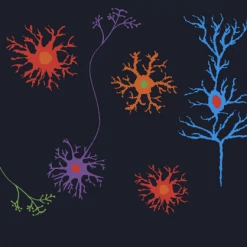 Brothers Knit Garments Neuron Embroidery Alice Dress 9 Brothers Knit Garments Neuron Embroidery Alice Dress