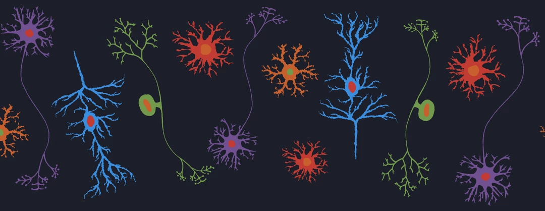 Brothers Knit Garments Neuron Embroidery Alice Dress 5 Brothers Knit Garments Neuron Embroidery Alice Dress