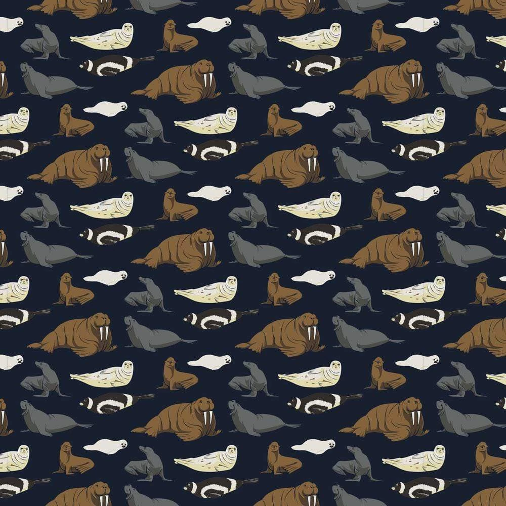 Brothers Knit Garments Pinnipeds Kids Twirl Dress Matching Family Sets 5 Brothers Knit Garments Pinnipeds Kids Twirl Dress Matching Family Sets