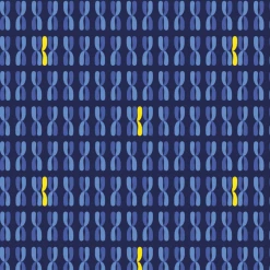 Brothers Knit Garments World Down Syndrome Day Rosalind Dress