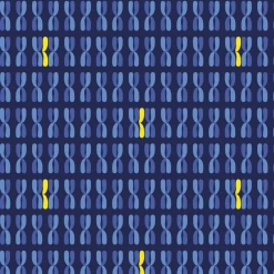 Brothers Knit Garments World Down Syndrome Day Kids Twirl Dress Matching Family Sets