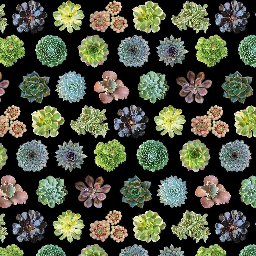 Yiwu Guanli Clothing Limited Succulents Adults Leggings With Pockets 5 Yiwu Guanli Clothing Limited Succulents Adults Leggings With Pockets