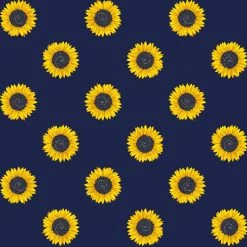 Brothers Knit Garments Fibonacci Sunflower Katherine Dress