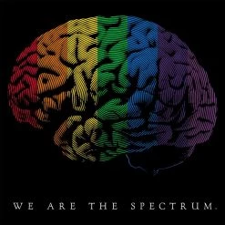 Svaha Apparel T-Shirts & Hoodies We Are The Spectrum Custom Kids Hoodie