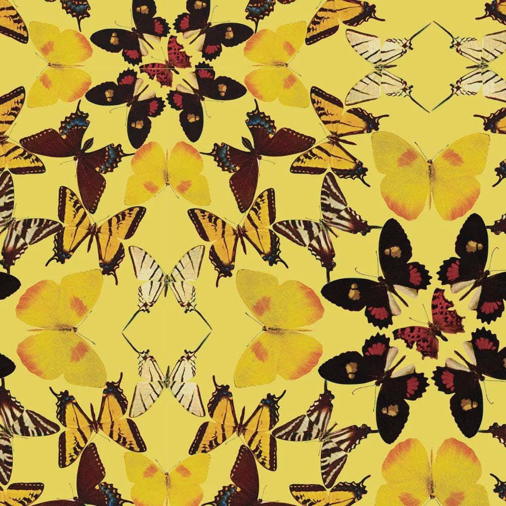 Brothers Knit Garments Butterfly Dorothy Dress 5 Brothers Knit Garments Butterfly Dorothy Dress