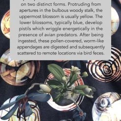 Svaha Apparel Augmented Reality: Reforestation Of The Imagination Ada Dress Shop By Interest