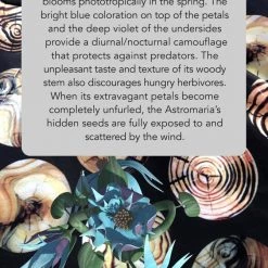 Svaha Apparel Augmented Reality: Reforestation Of The Imagination Ada Dress Shop By Interest