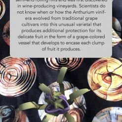 Svaha Apparel Augmented Reality: Reforestation Of The Imagination Ada Dress Shop By Interest