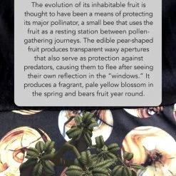 Svaha Apparel Augmented Reality: Reforestation Of The Imagination Ada Dress Shop By Interest