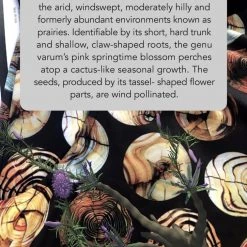 Svaha Apparel Augmented Reality: Reforestation Of The Imagination Ada Dress Shop By Interest