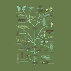 RAM Kids & Babies Insect Diversity Kids T-shirt
