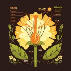 Brothers Knit Garments Parts Of A Flower Kids T-shirt