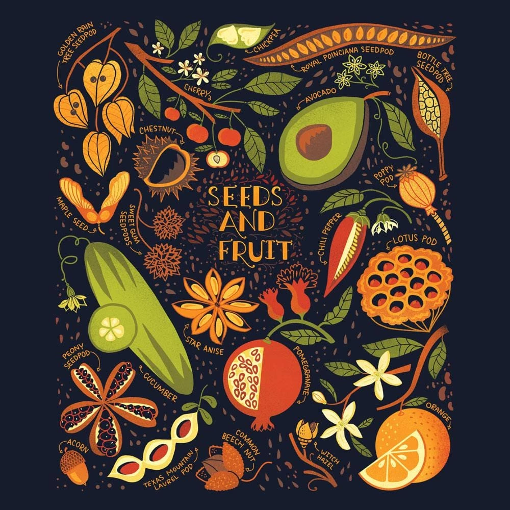 Brothers Knit Garments Seeds And Fruit Kids T-shirt 2 Brothers Knit Garments Seeds And Fruit Kids T-shirt