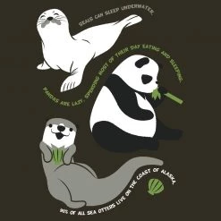 Brothers Knit Garments Kids & Babies Wildlife Facts Kids Dress [FINAL SALE]